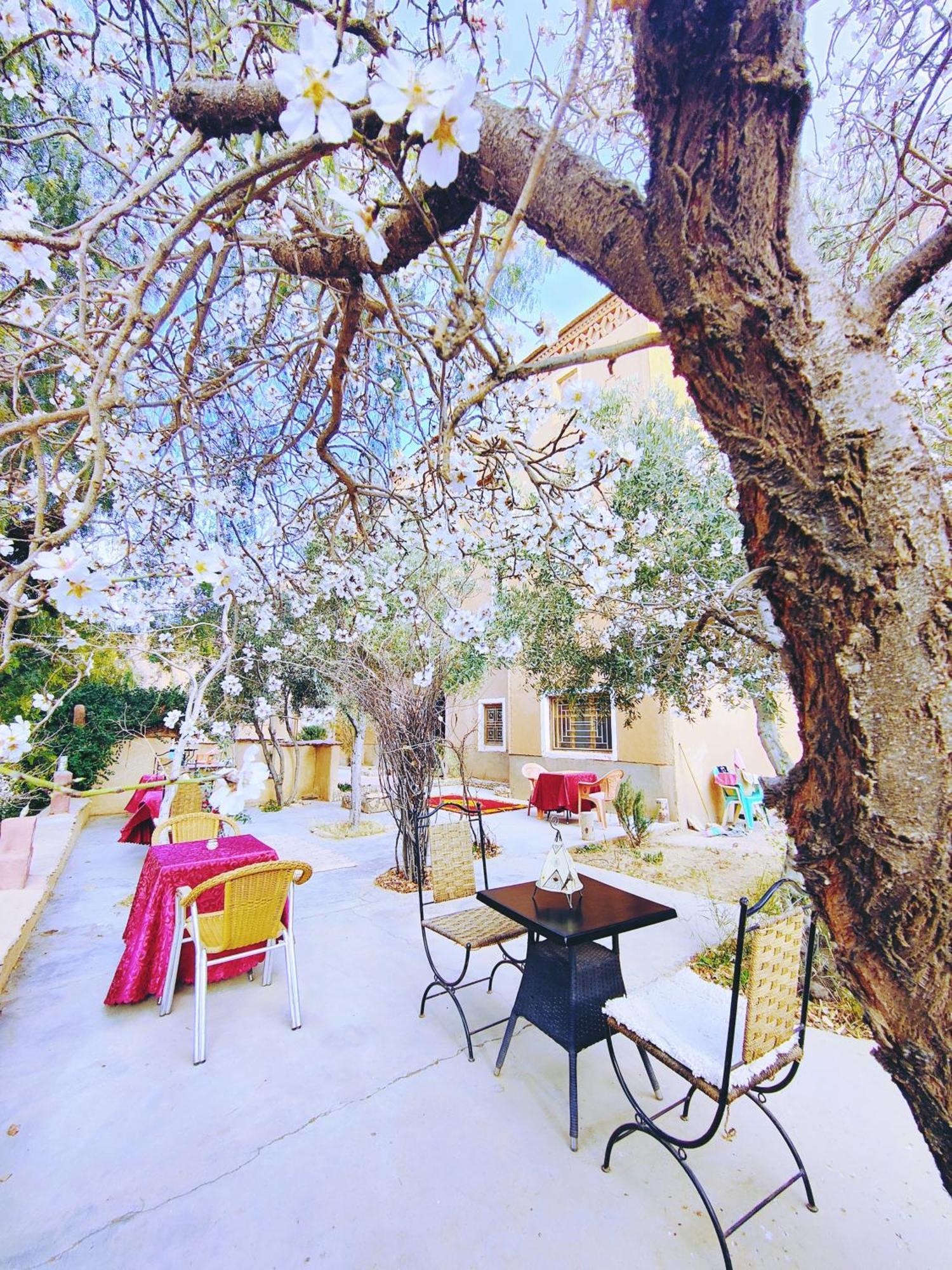 Riad Kasbah Des Roches Akhendachou n'Ait Ouffi 外观 照片